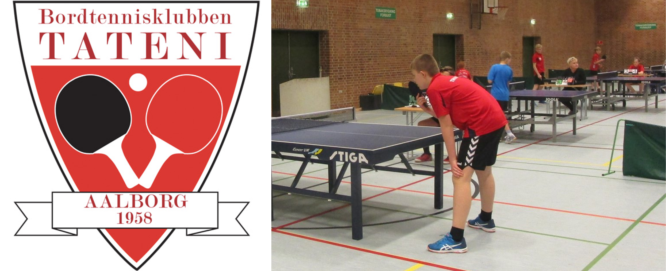 bordtennis
